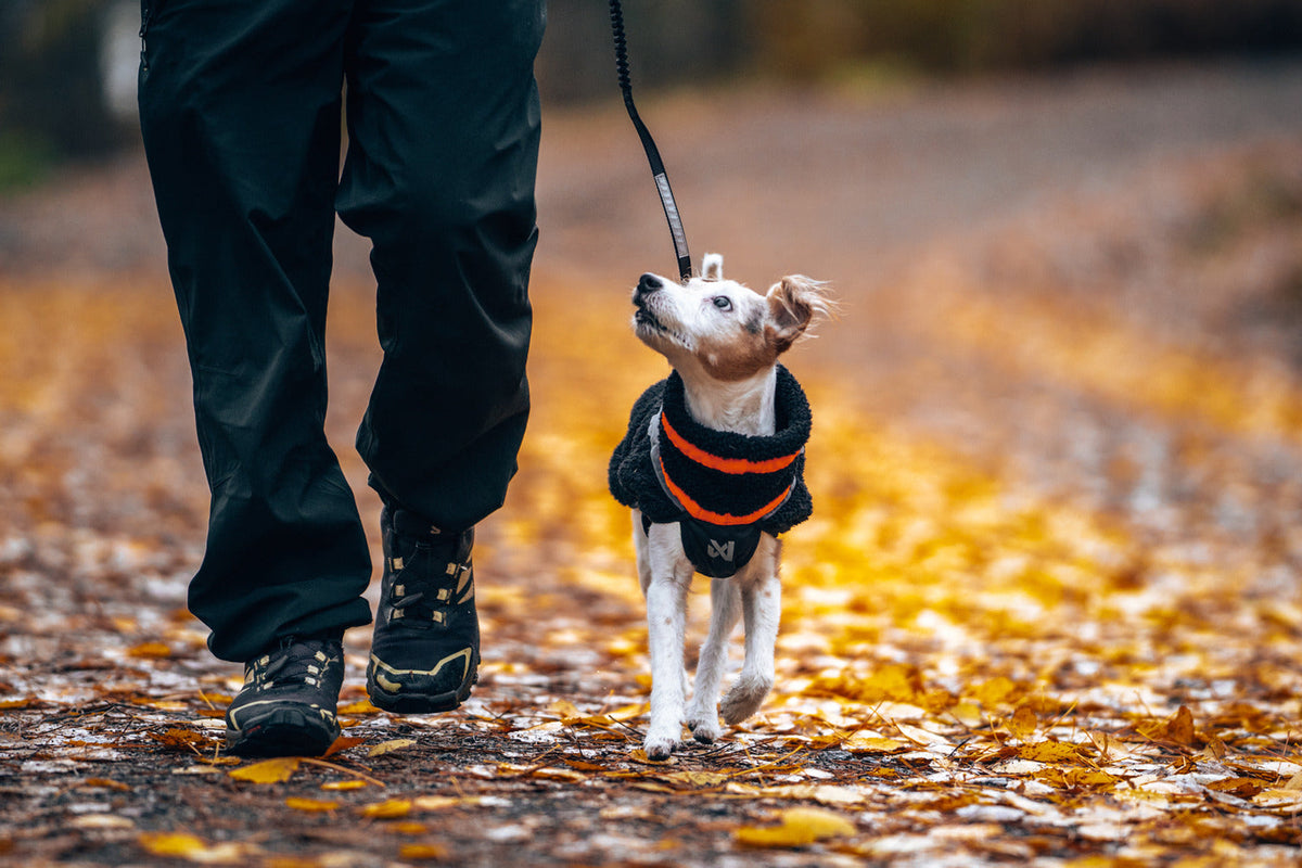 Dog Fleece Jacket product image 2