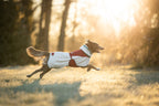 Dog Fleece Jacket product image 4