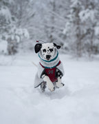Dog Fleece Jacket product image 7