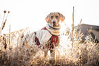 Dog Fleece Jacket product image 8