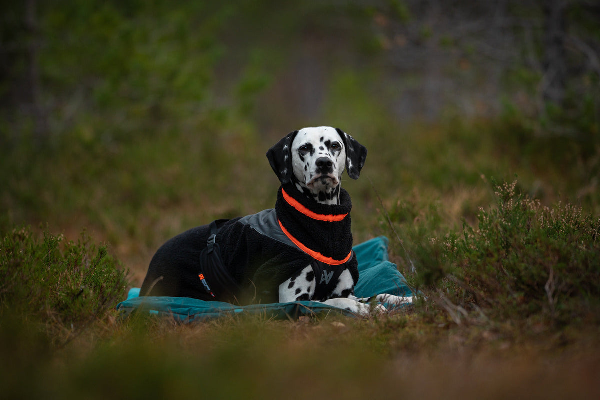 Dog Fleece Jacket product image 10