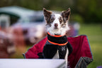 Dog Fleece Jacket product image 11