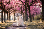 Dog Jacket product image 4