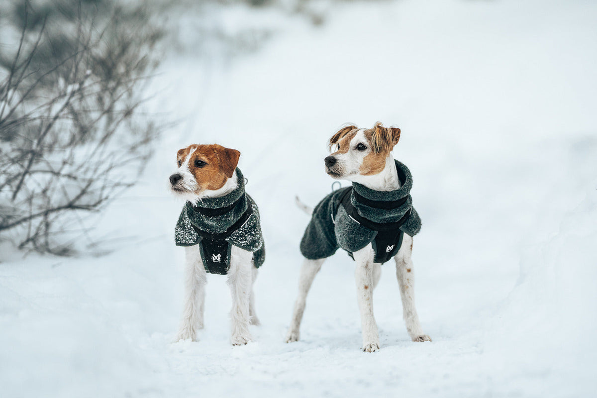 Dog Jacket product image 9