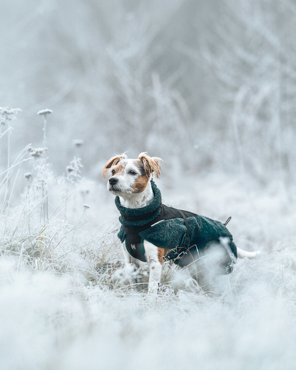 Dog Jacket product image 10