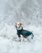 Dog Jacket product image 10