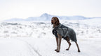 Dog Jacket product image 11