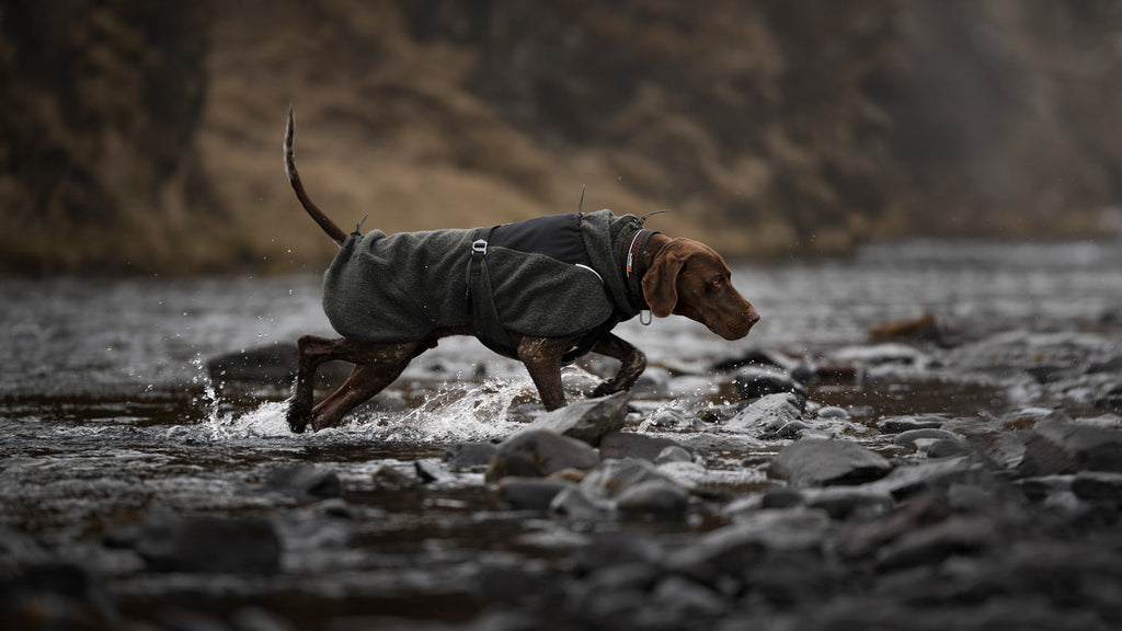 Dog Jacket product image 12