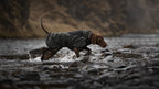 Dog Jacket product image 12