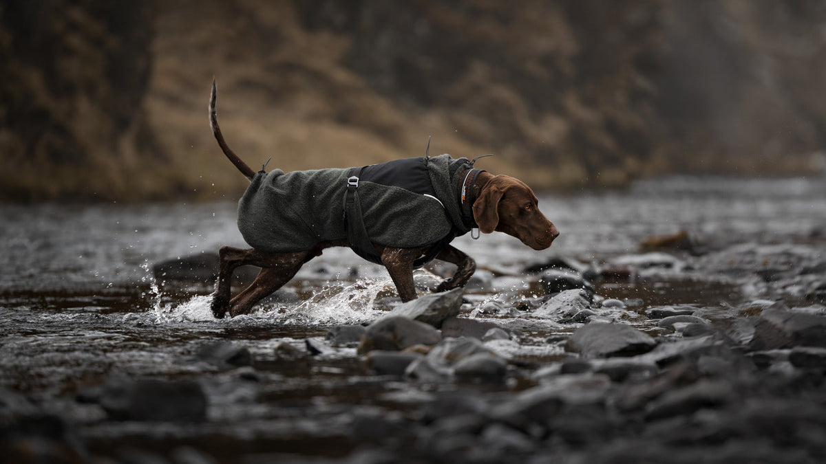 Dog Jacket product image 12