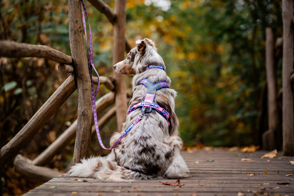 Dog Harness product image 7