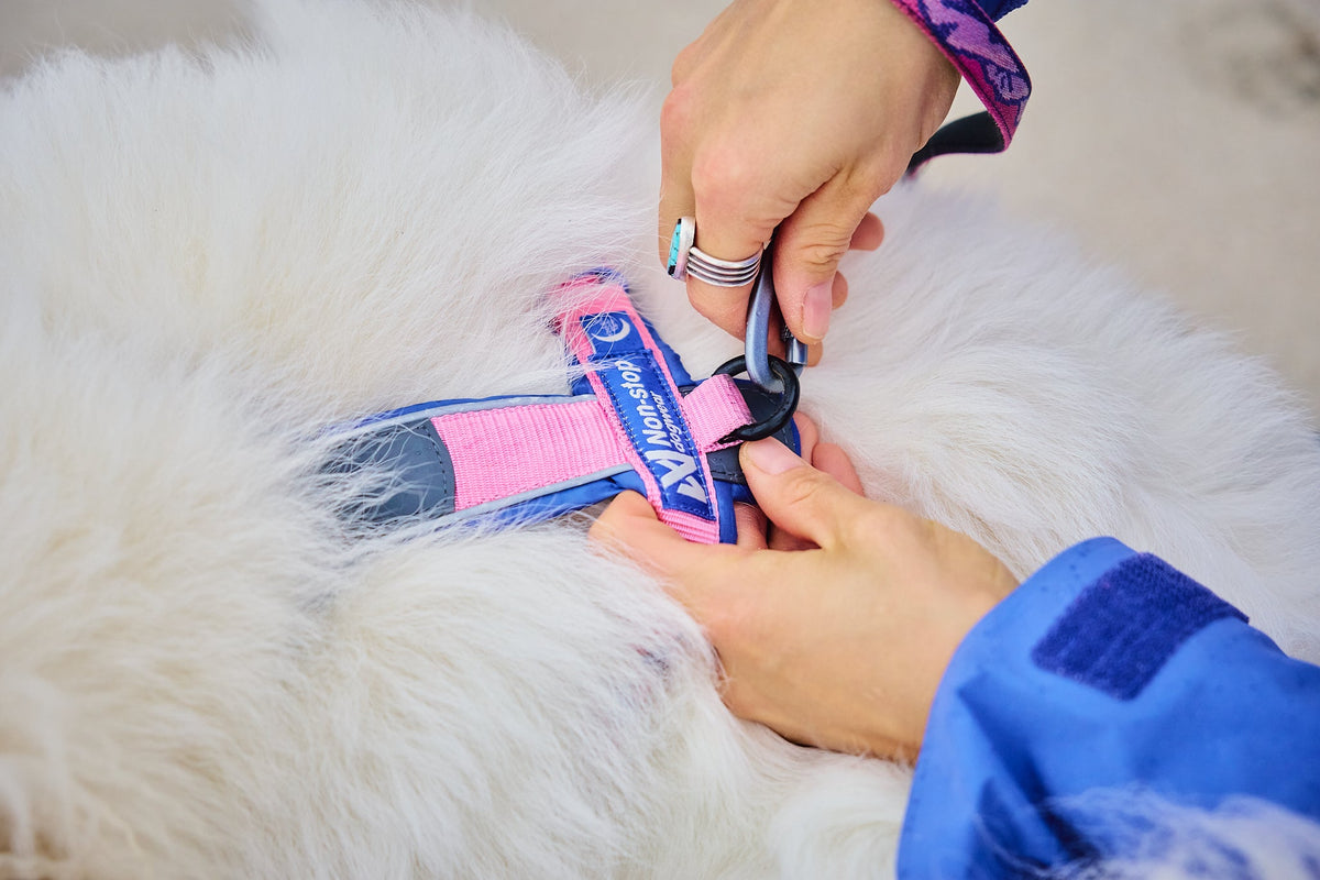 Dog Harness product image 8