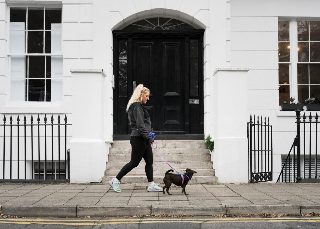 Dog Harness product image 9