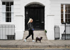 Dog Harness product image 9