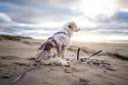 Dog Harness product image 10