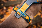 Dog Harness product image 12
