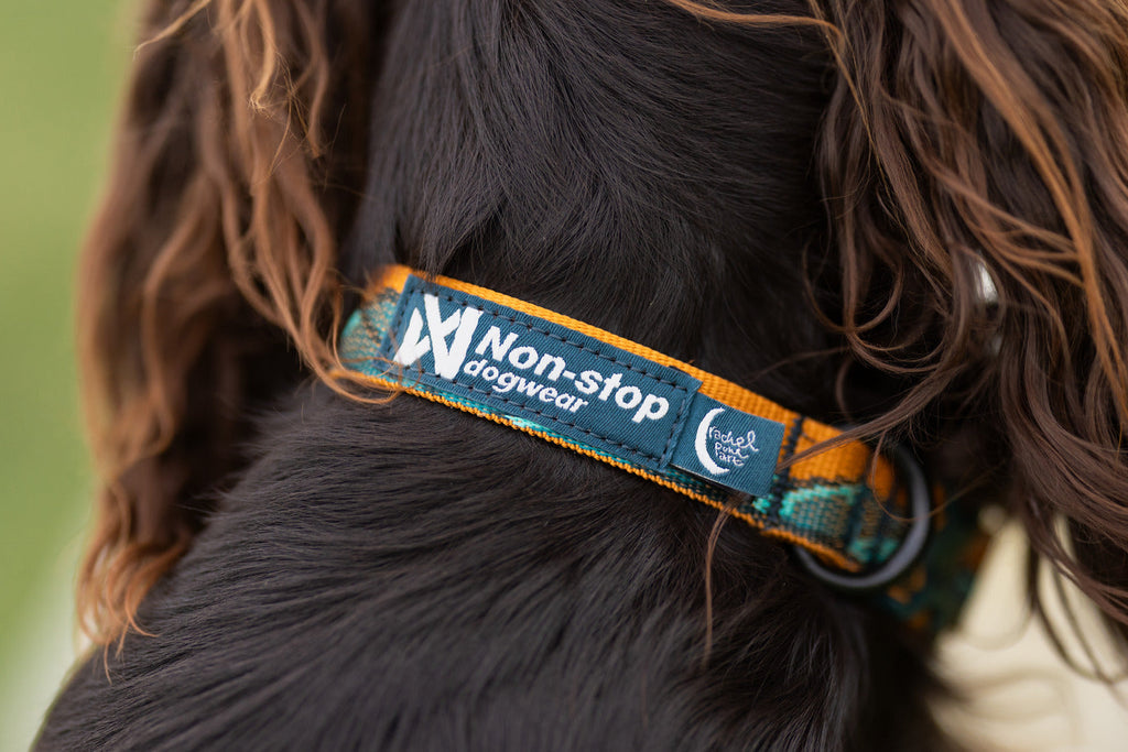 Adjustable Dog Collar product image 6