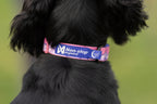 Adjustable Dog Collar product image 9