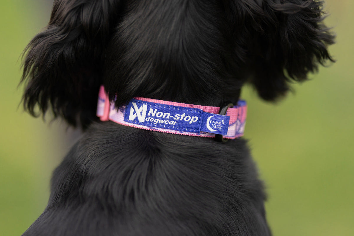 Adjustable Dog Collar product image 9