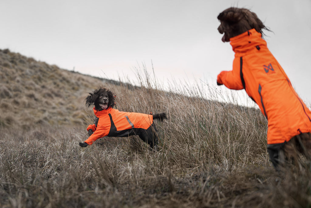 Dog Raincoat product image 4