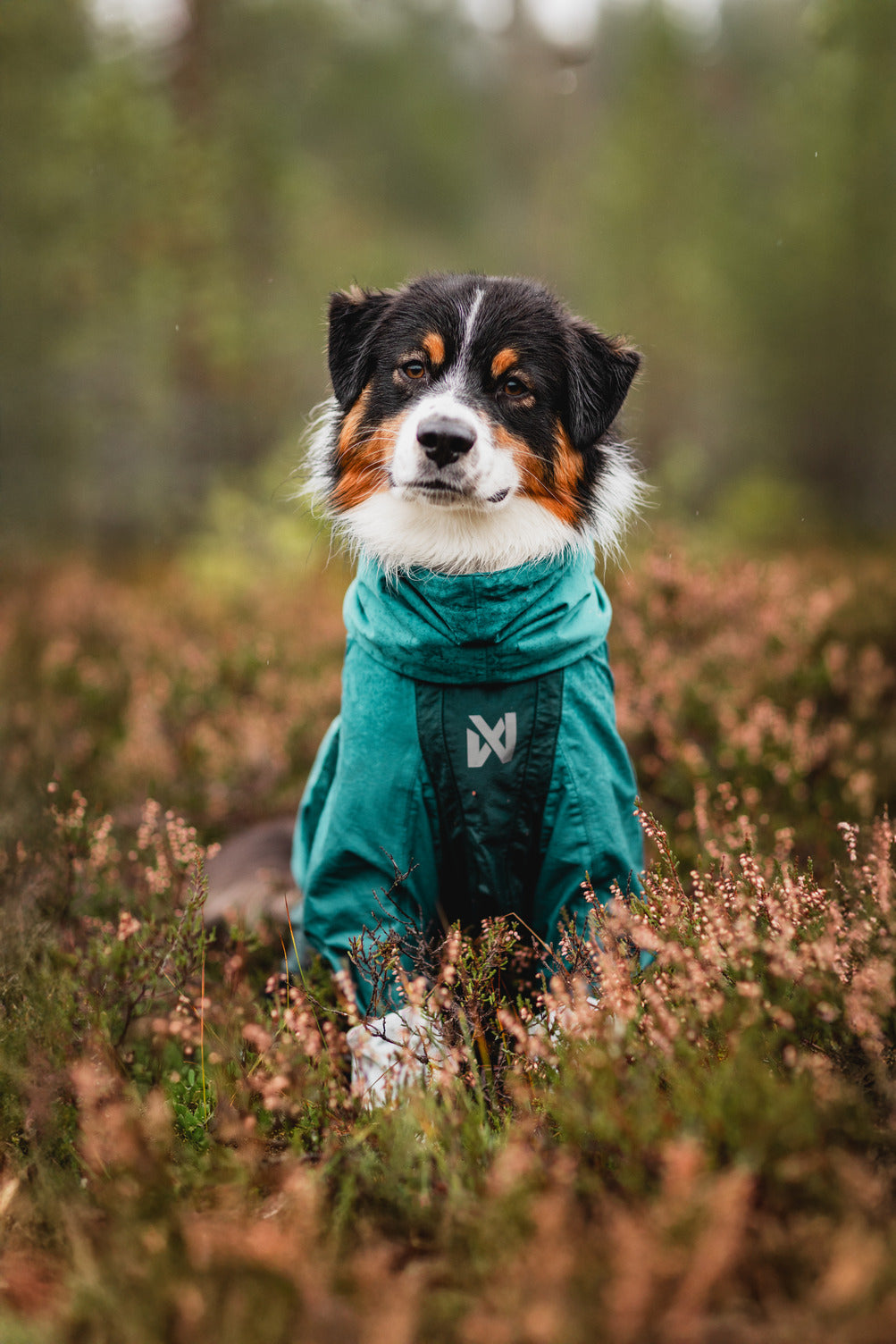 Dog Raincoat product image 5