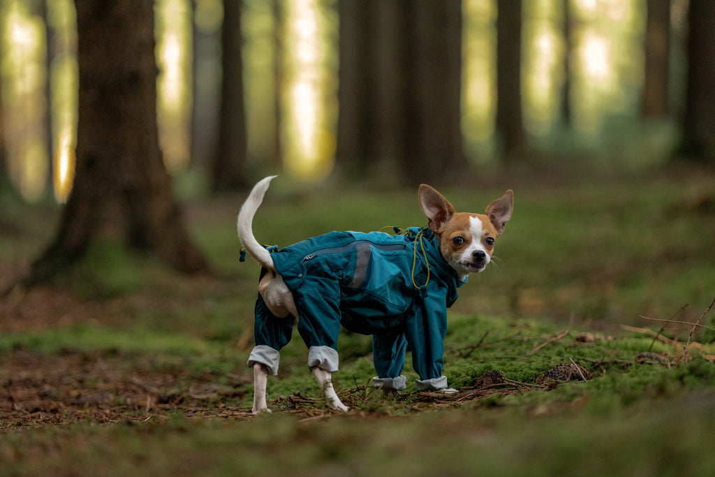 Dog Raincoat product image 6