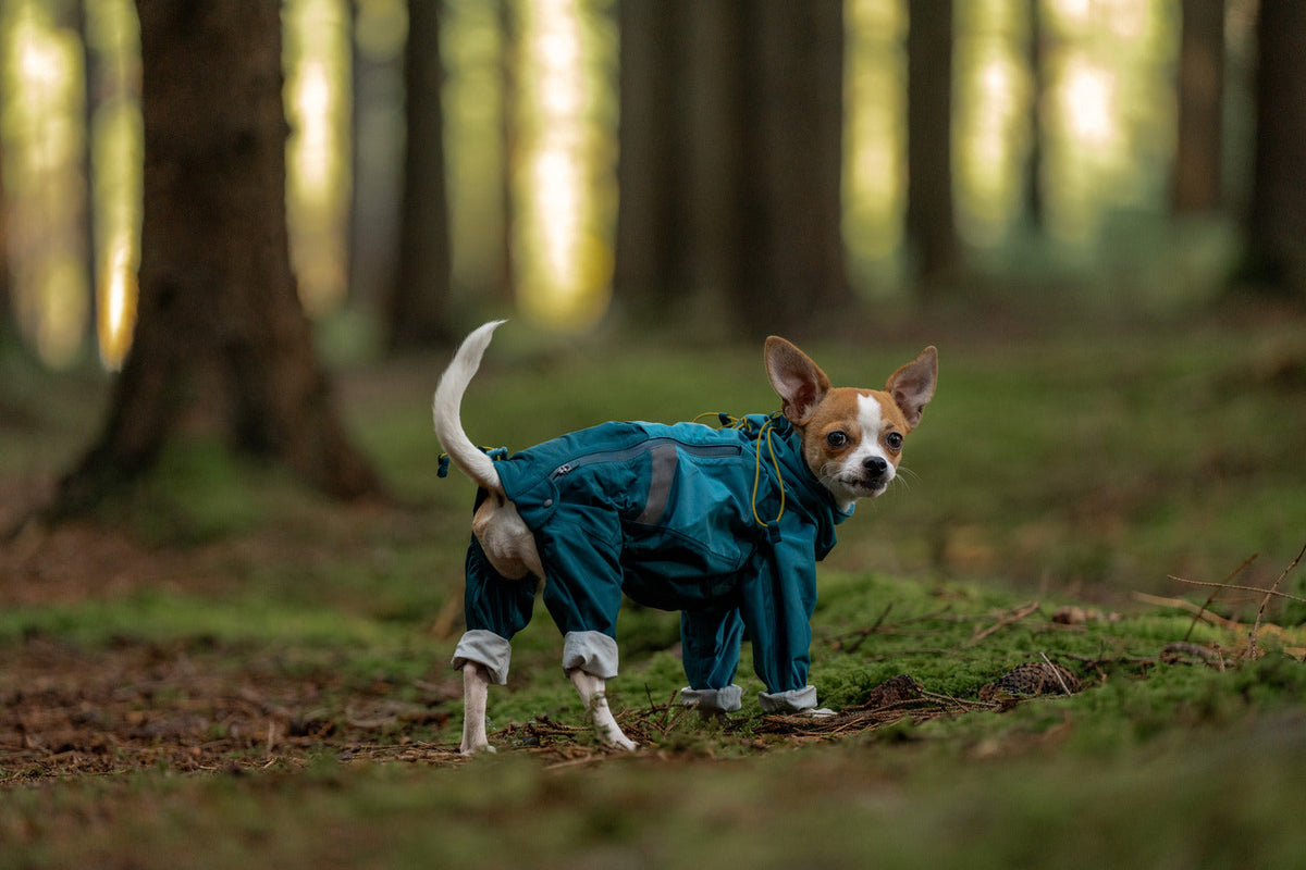 Dog Raincoat product image 6