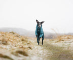Dog Raincoat product image 7