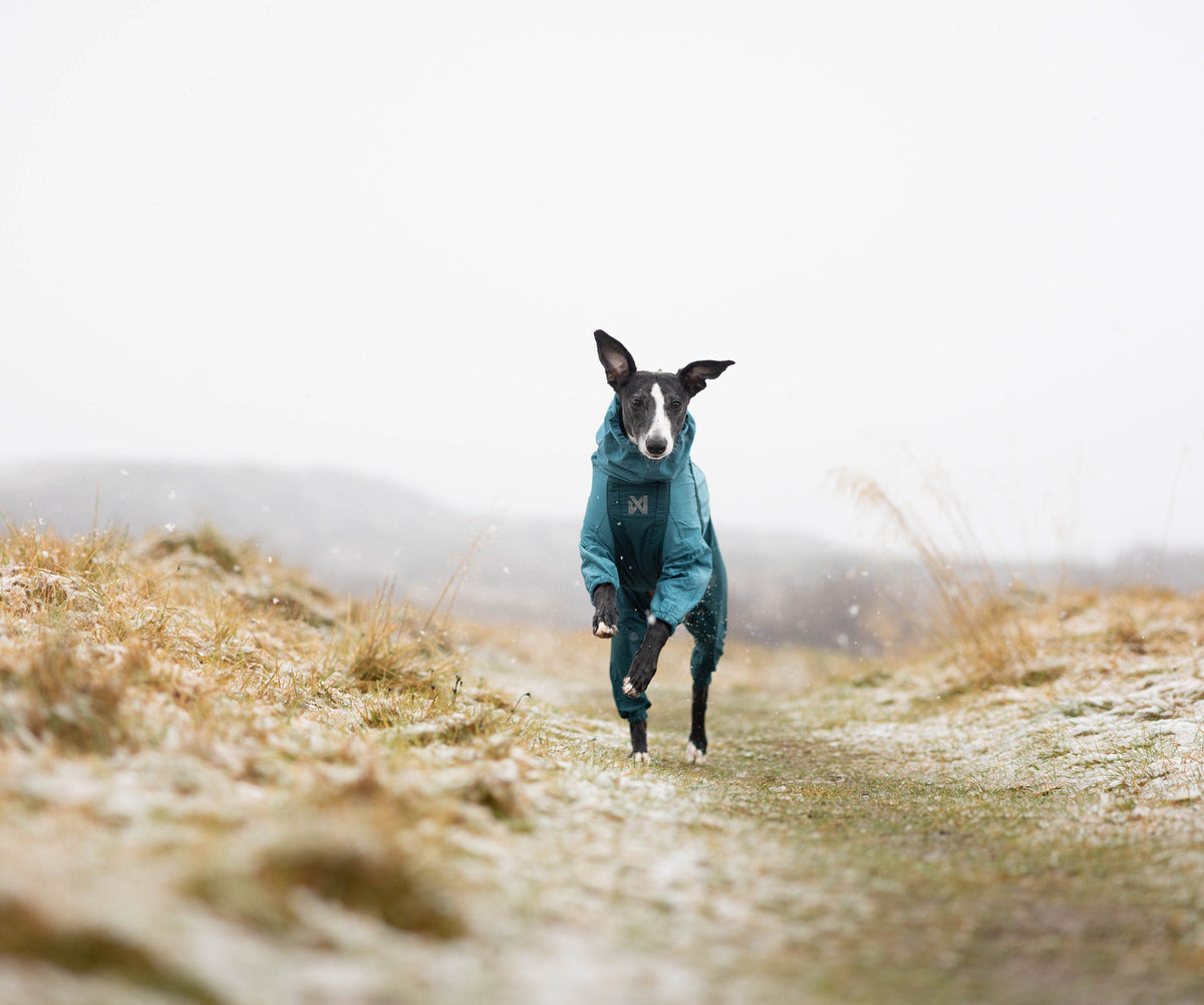 Dog Raincoat product image 7