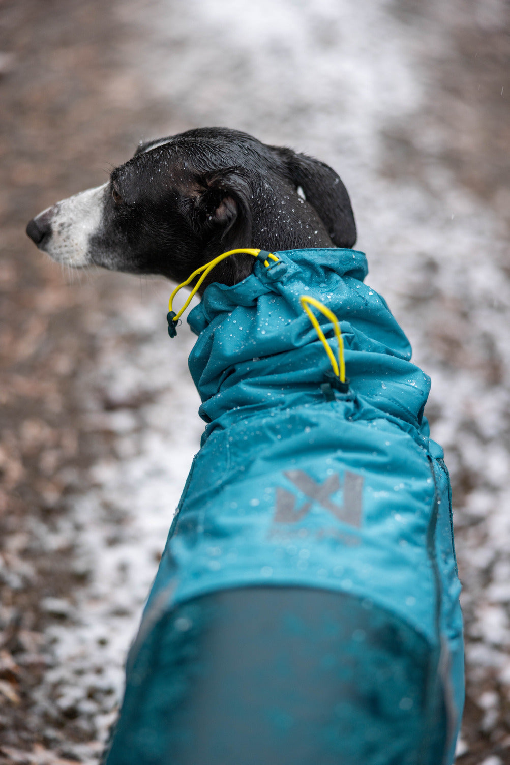 Dog Raincoat product image 8