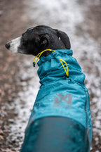 Dog Raincoat product image 8