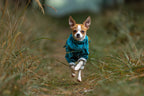 Dog Raincoat product image 9