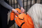 Dog Raincoat product image 11