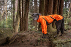 Dog Raincoat product image 14