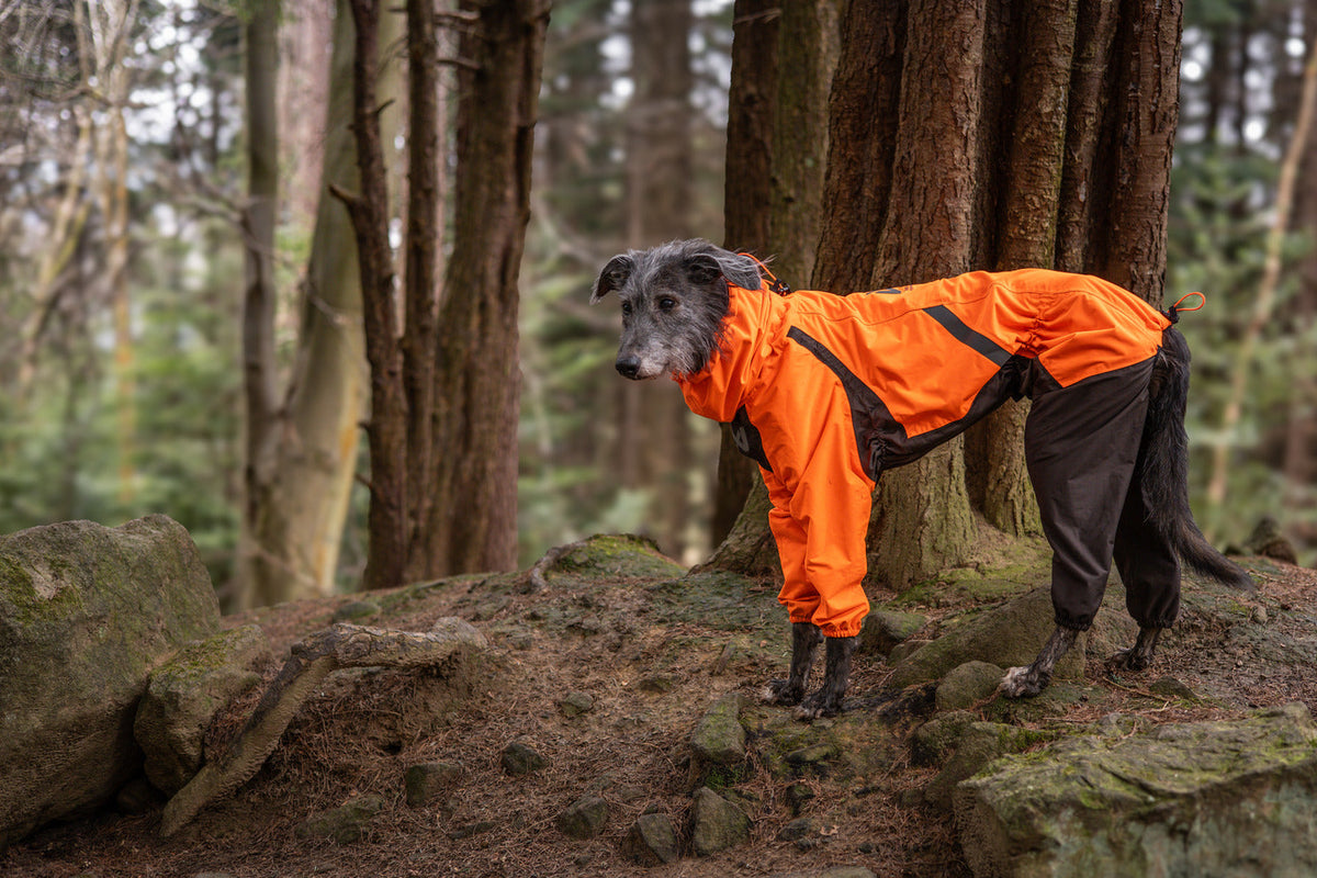 Dog Raincoat product image 14