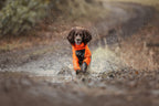 Dog Raincoat product image 15