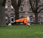 Dog Raincoat product image 16