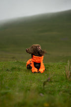 Dog Raincoat product image 17
