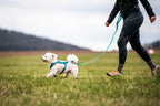 Dog Harness product image 8