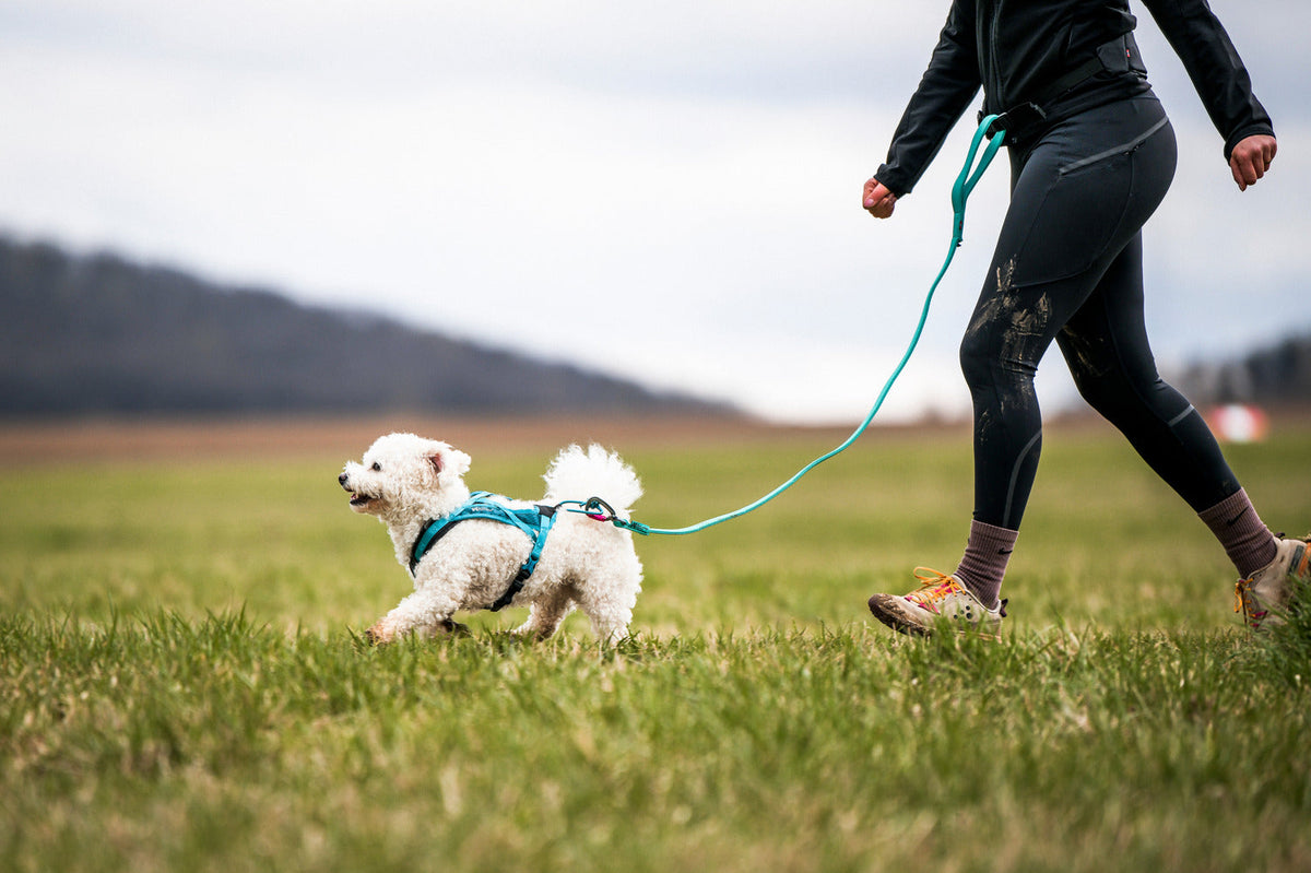 Dog Harness product image 8