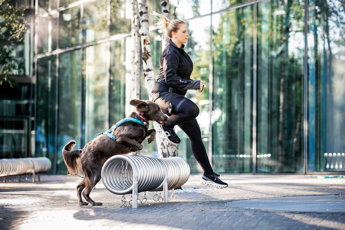 Dog Harness product image 12