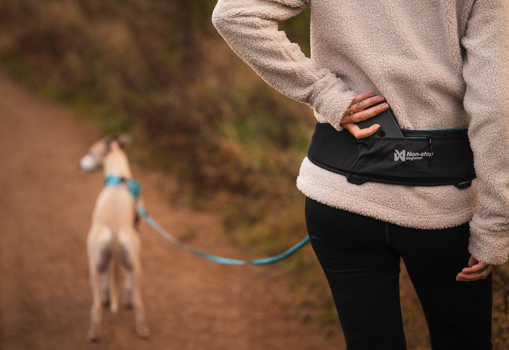 Dog Walking Belt product image 4