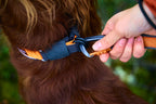 Safety Dog Collar product image 6