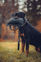 Short Dog Lead product image 4