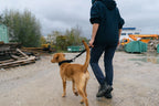 Short Dog Lead product image 5