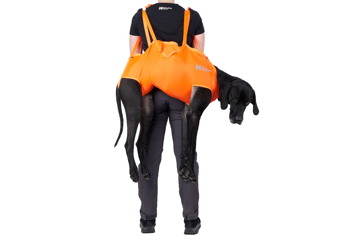 Dog Rescue Sling product image 1