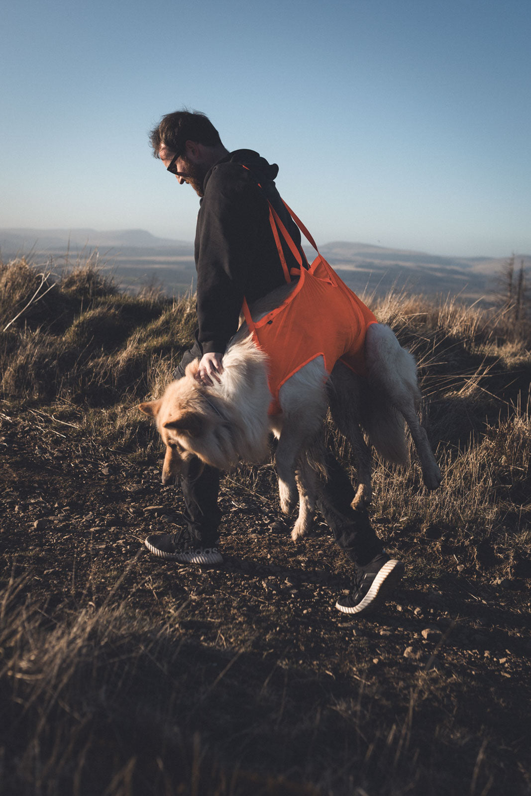 Dog Rescue Sling product image 2