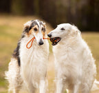 Dog Ball on Rope product image 2