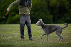 Dog Ball on Rope product image 4