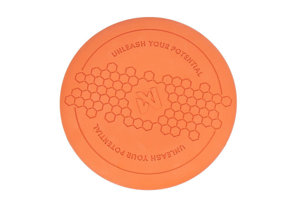 Dog Flying Disc product image 1
